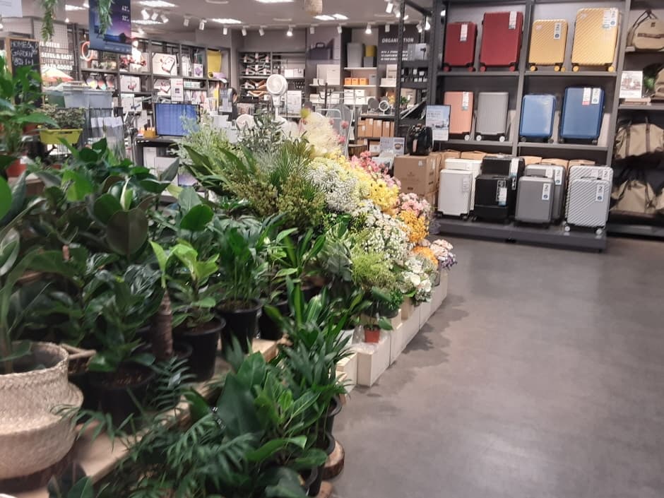 MH 모던하우스 홈플러스김해_3