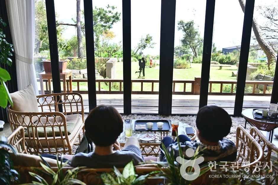 전남_보성_카페 위로 (15)