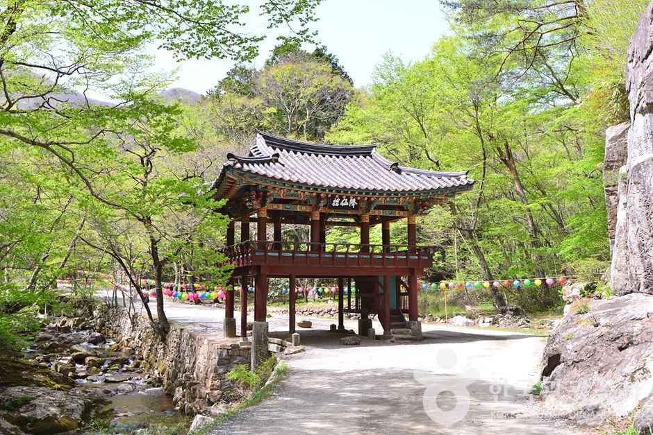 조계산도립공원 (1)