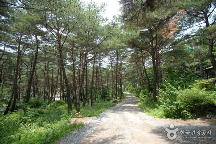 조령산자연휴양림_02