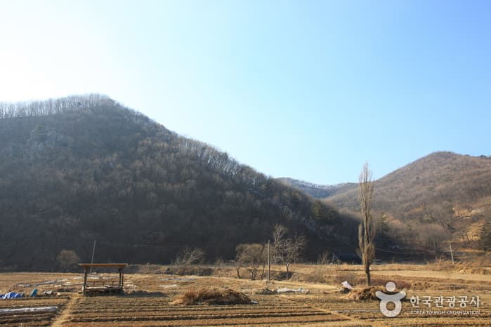 경기도_군포시_수리산도립공원_012