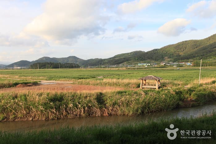 130510전남_순천_순천만자연생태공원 20