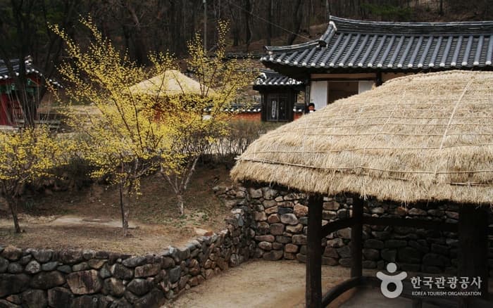 경북_안동 전통문화콘텐츠박물관 17