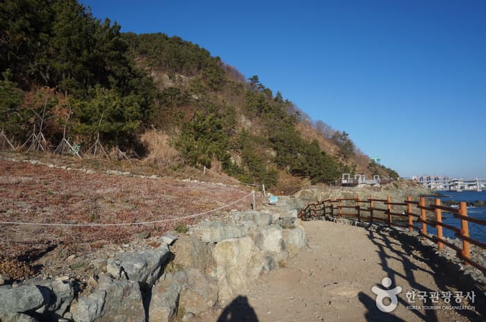 부산_이기대 1