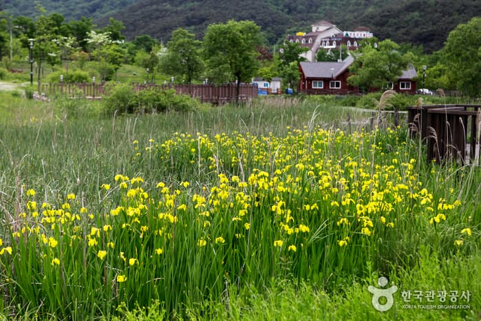 전북_고창_선운산 숲길에서 숨은 꽃을 만나다07
