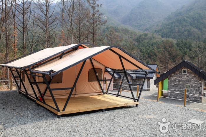 국립춘천숲체원 2021 촬영 3