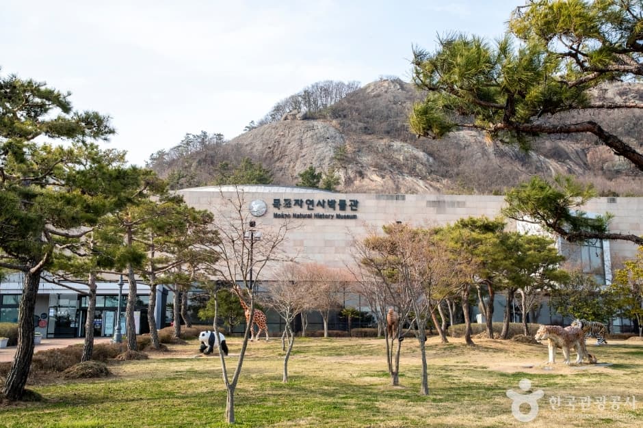 목포자연사박물관 (6)