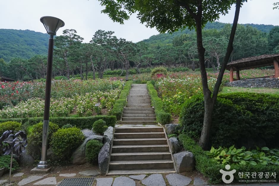 A04300_인천_계양_계양산둘레길(11)