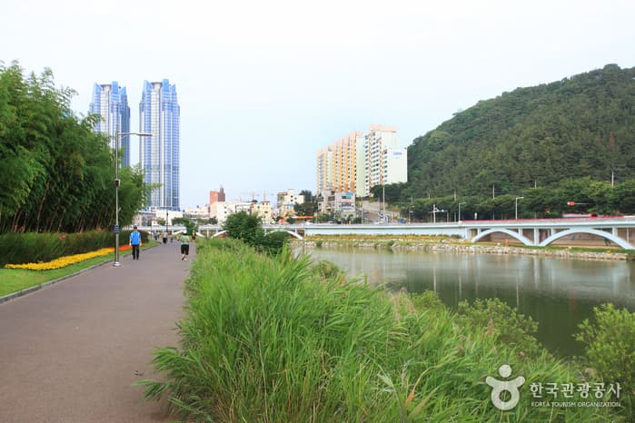 울산광역시_남구_태화강대공원_038