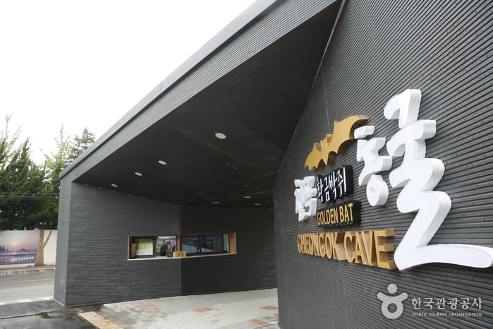 강원_동해_도심 속 숨겨진 신비의 지하 세계, 동해 천곡황금박쥐동굴_02