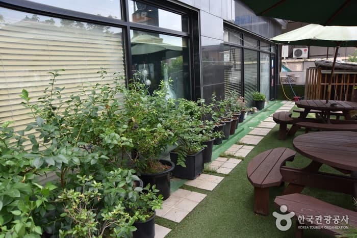 강원_인제_인제호텔(INJE HOTEL)_전경및부대시설19