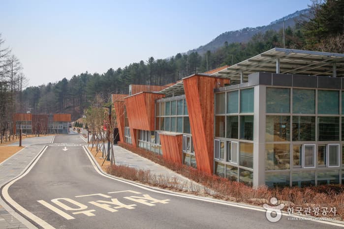 국립춘천숲체원 2021 촬영 4