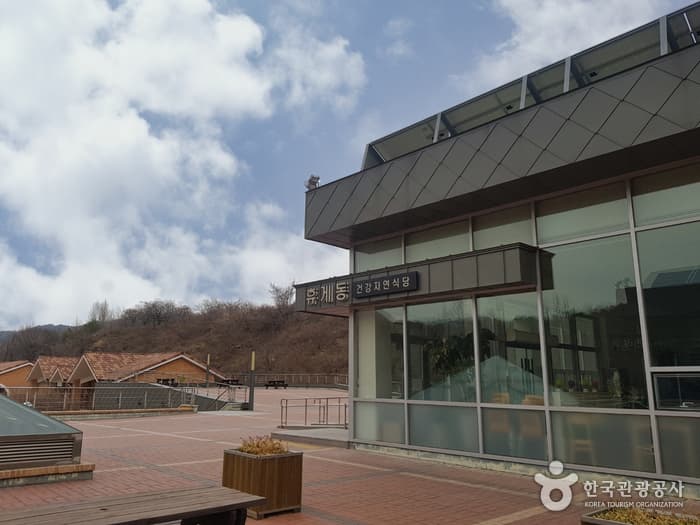 동해무릉건강숲 7