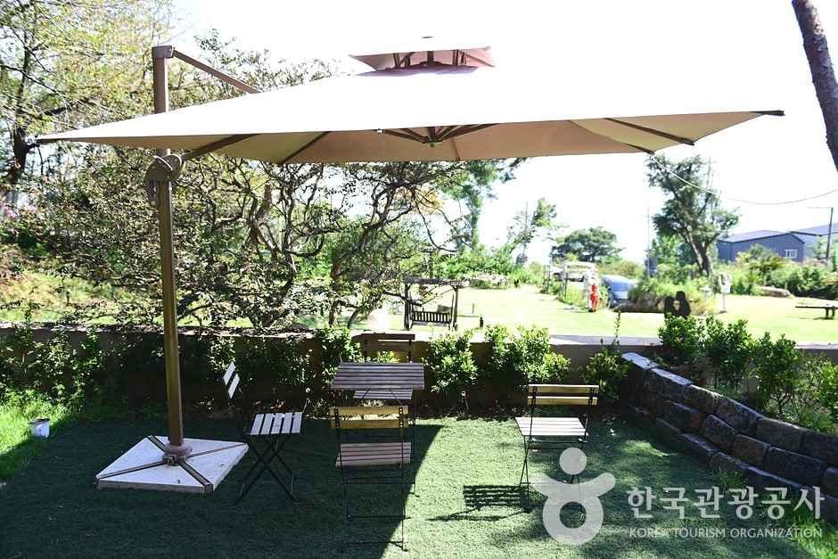 전남_보성_카페 위로 (17)