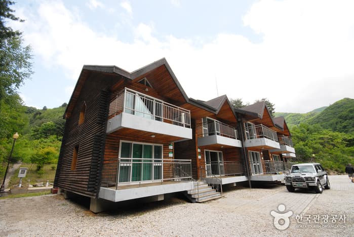 Bokjusan National Recreational Forest (국립 복주산자연휴양림)