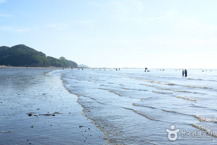 고사포해수욕장_24