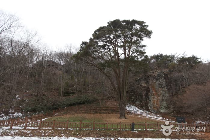 전북_고창_선운산도립공원40