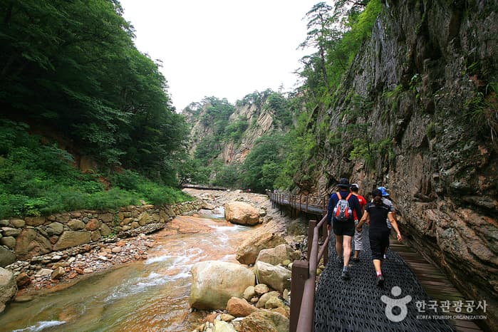 강원_양양_흘림골과 주전골을 걷다10