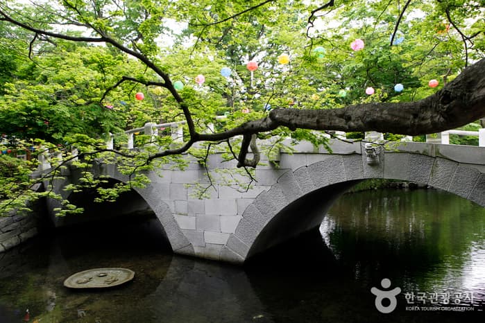 전북_고창_선운산 숲길에서 숨은 꽃을 만나다09
