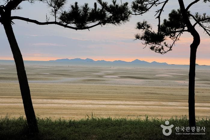 전북_고창_가족여행에 최적화된 여름 휴가지, 고창 동호해수욕장 01