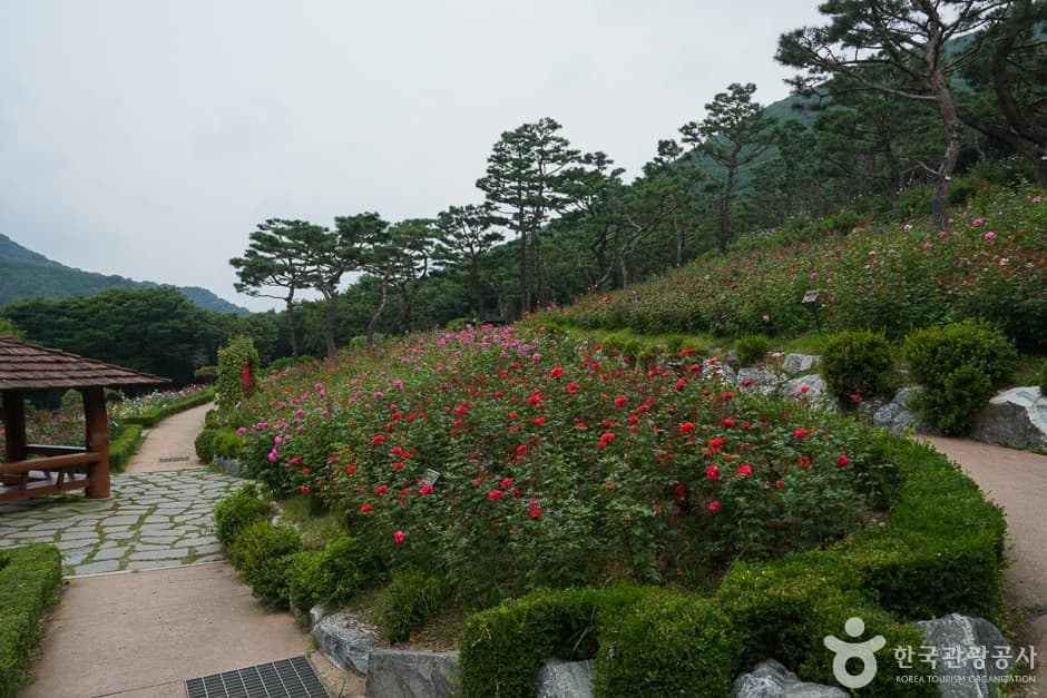 A04300_인천_계양_계양산둘레길(13)