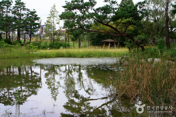 물향기수목원17