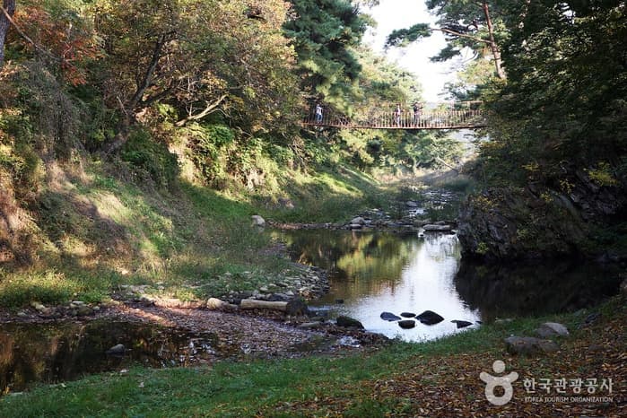 경북_예천_계곡과 정자, 가을볕이 만드는 또 하나의 자연, 예천 초간정 원림04