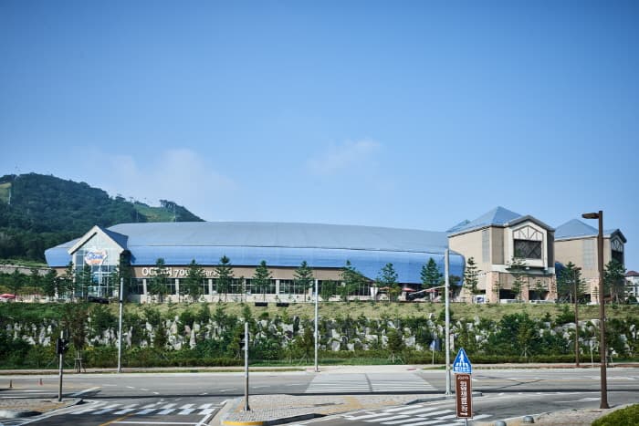 한국문화정보원_알펜시아 오션700_07