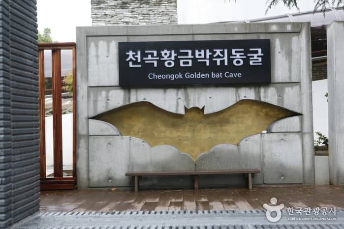 강원_동해_도심 속 숨겨진 신비의 지하 세계, 동해 천곡황금박쥐동굴_10