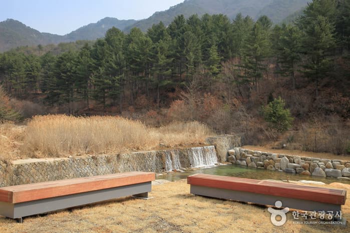 국립춘천숲체원 2021 촬영 6