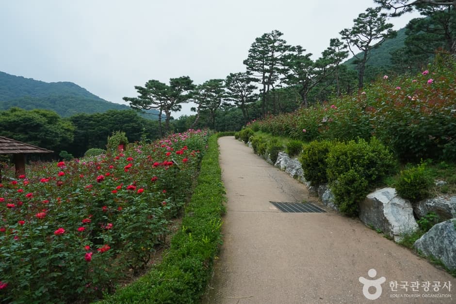 A04300_인천_계양_계양산둘레길(14)