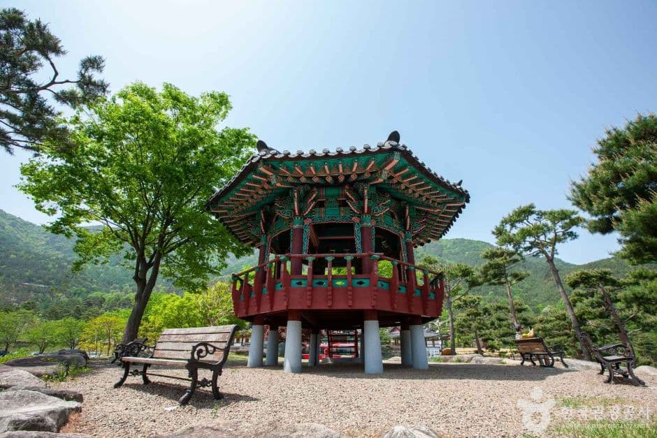 동의보감촌 (6)