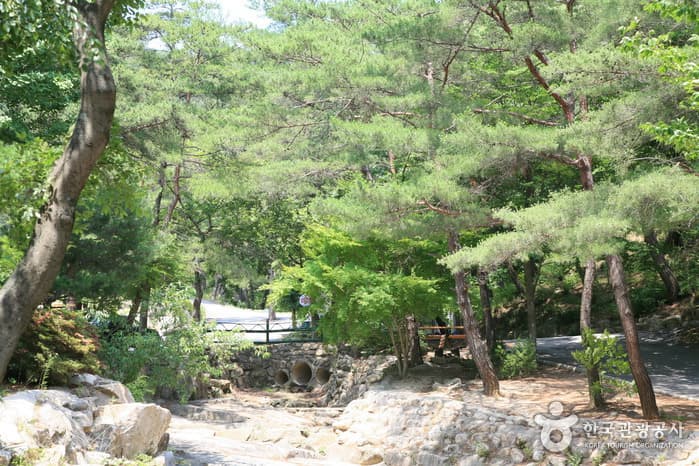 남원자연휴양림(남원리조트)_02