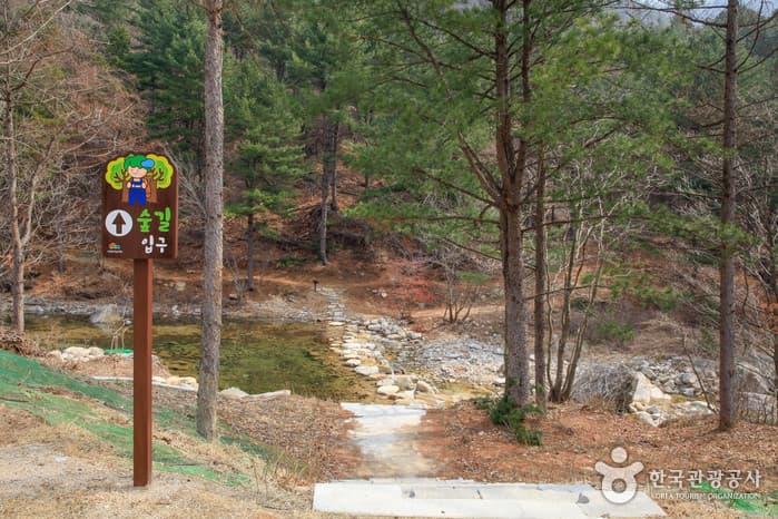 국립춘천숲체원 2021 촬영 7
