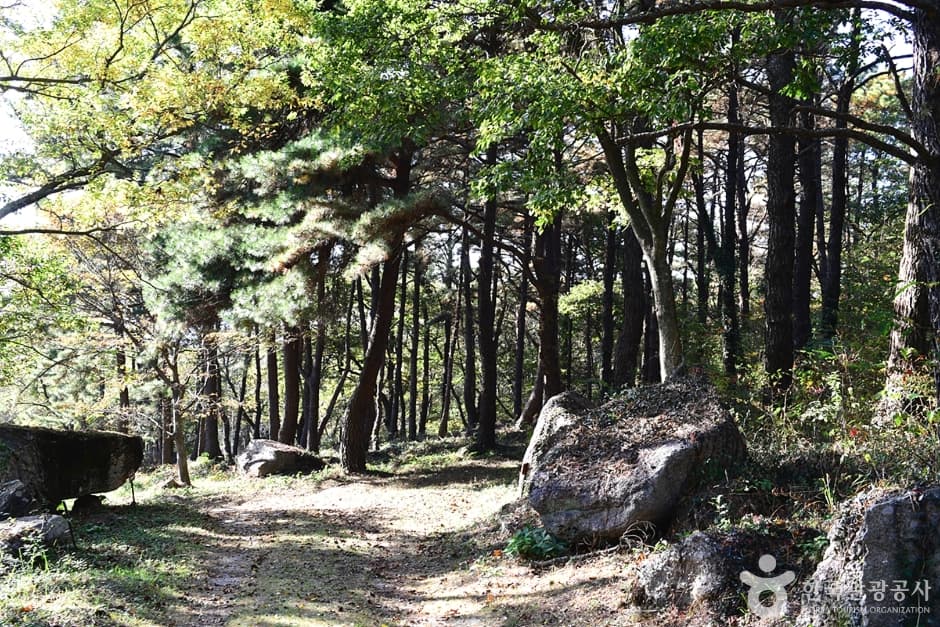 전북_고창_고산 (18)