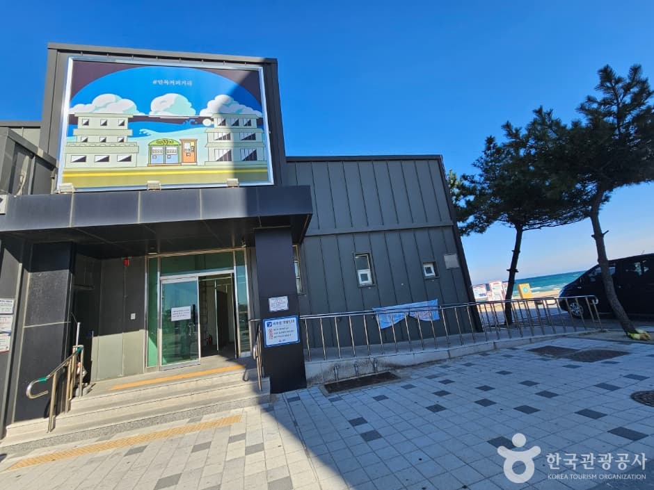 강릉커피거리_4