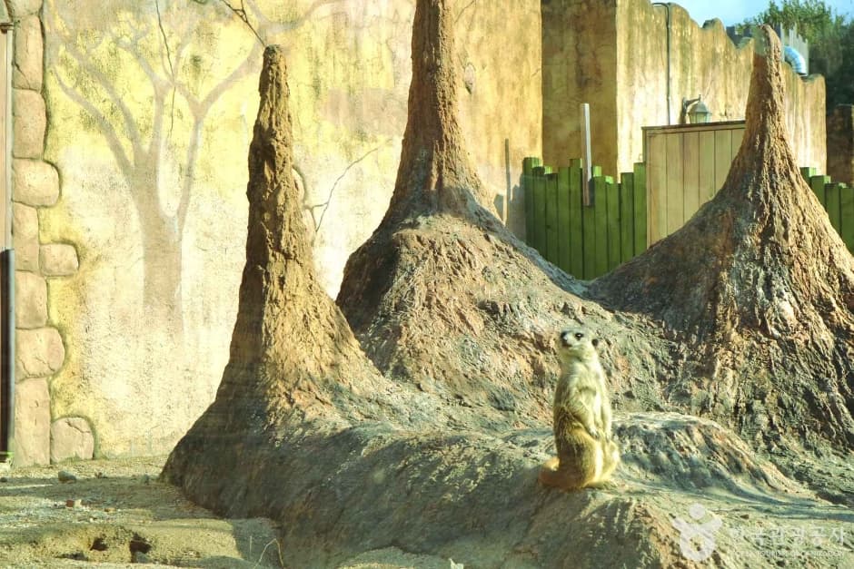 서울어린이대공원 (3)