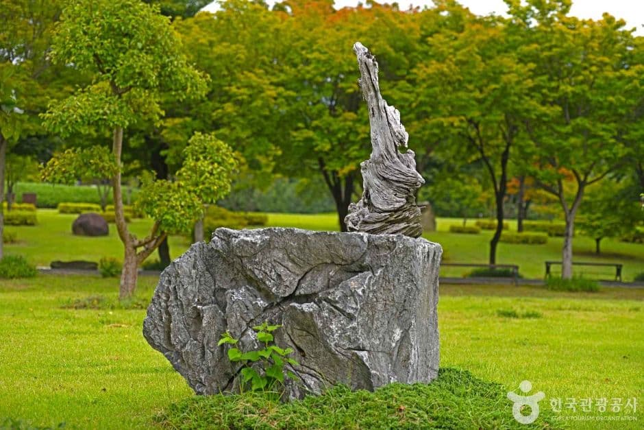 내장산 단풍생태공원 (7)