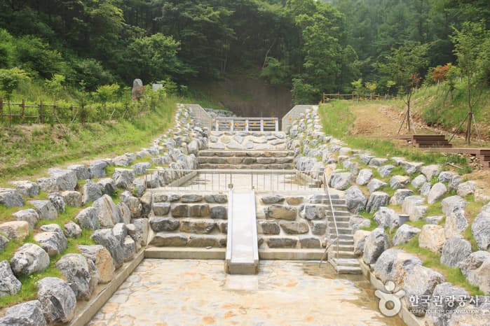 좌구산 자연휴양림 산림욕장_95