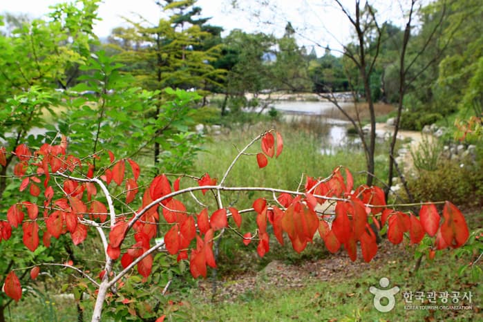 물향기수목원19