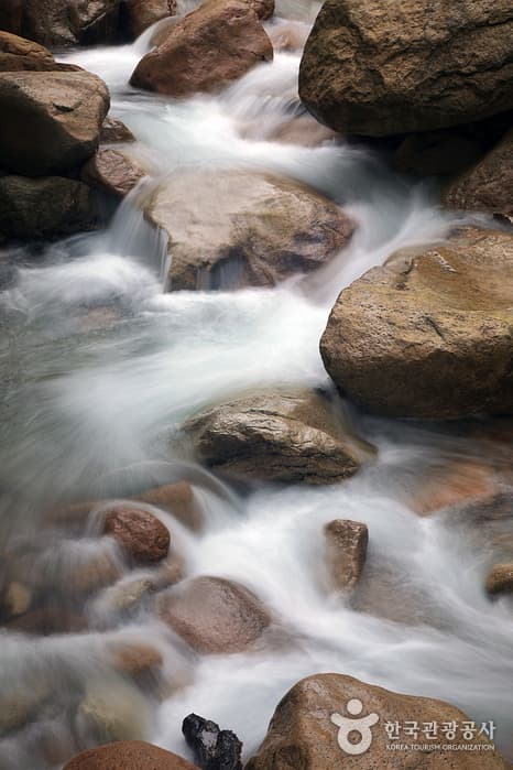 강원_양양_흘림골과 주전골을 걷다13