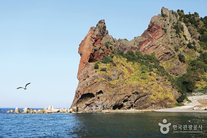 청사초롱_경북_울릉_울릉도, 그 섬을 기억하는 시간16