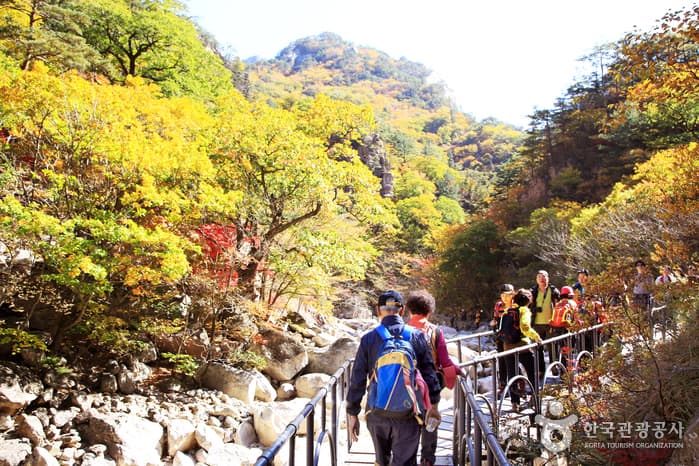 설악산 단풍  