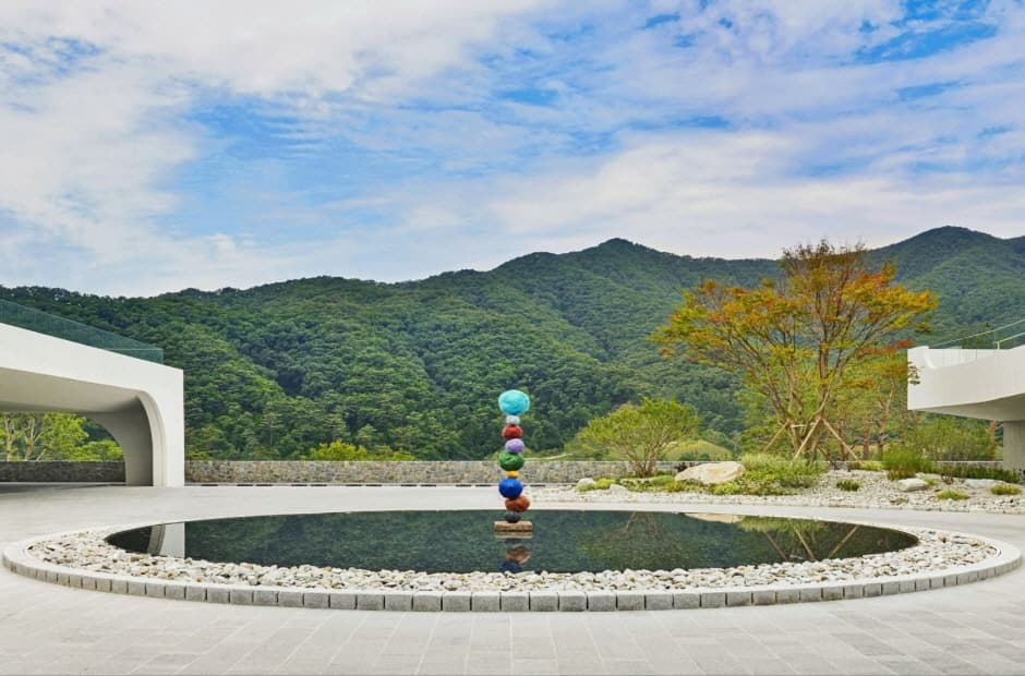 피오레토 (1)