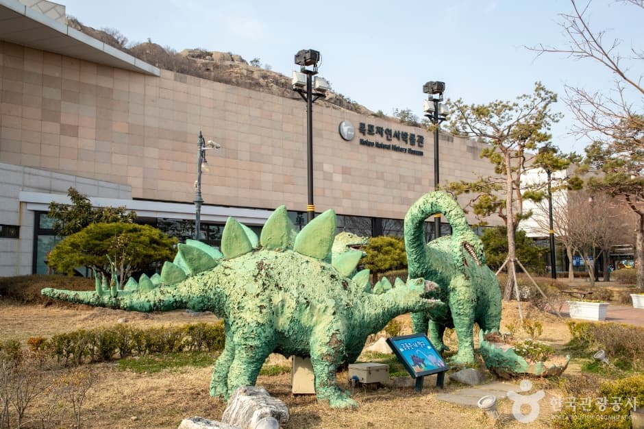 목포자연사박물관 (11)