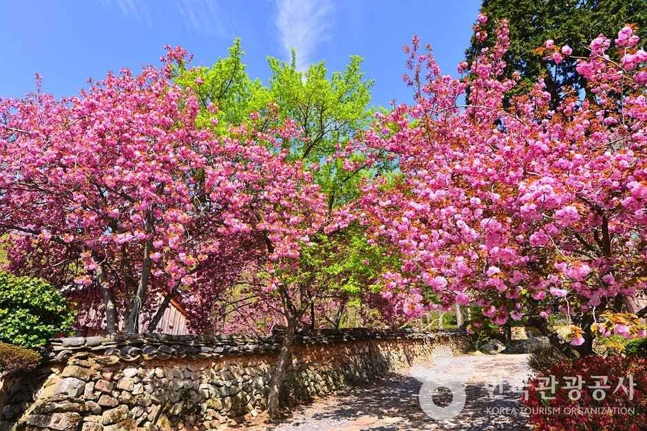 조계산도립공원 (7)