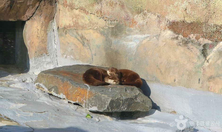 서울어린이대공원 (4)