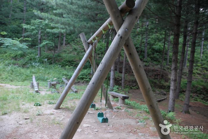 청옥산자연휴양림_10