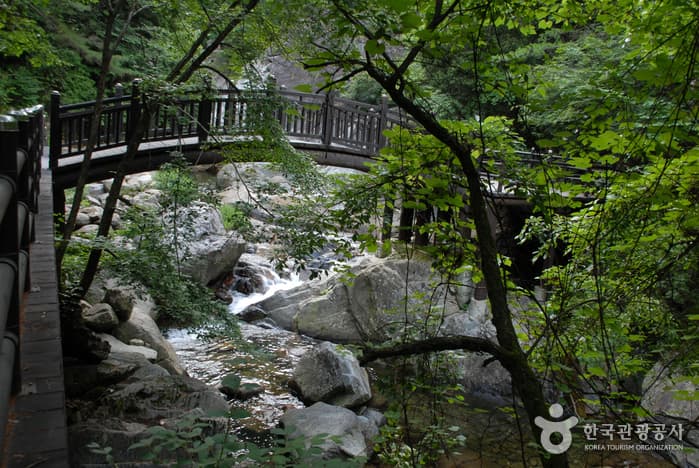 소백산국립공원(단양군)