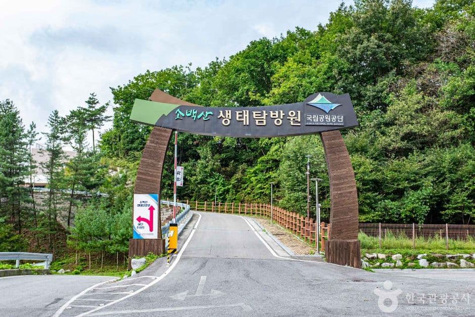 경북_영주_소백산 생태탐방원 (1)